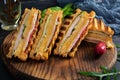 Club sandwich with ham, cheese, tomato and salad. Grilled sandwich with dried tomatoes bread Royalty Free Stock Photo