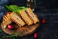 Club sandwich with ham, cheese, tomato and salad. Grilled sandwich with dried tomatoes bread Royalty Free Stock Photo