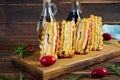 Club sandwich with ham, cheese, tomato and salad. Grilled sandwich with dried tomatoes bread Royalty Free Stock Photo