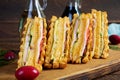 Club sandwich with ham, cheese, tomato and salad. Grilled sandwich with dried tomatoes bread Royalty Free Stock Photo