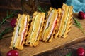 Club sandwich with ham, cheese, tomato and salad. Grilled sandwich with dried tomatoes bread Royalty Free Stock Photo