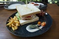 Club sandwich look so delicious ready to eat.