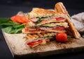 Club sandwich panini with ham Royalty Free Stock Photo