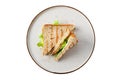 Club sandwich with salmon, cucumber, salad and cheese isolated on white Royalty Free Stock Photo