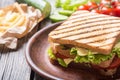 Club sandwich with tomatoes , cucumber , ham and cheese Royalty Free Stock Photo