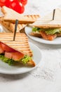 Club sandwiches with salmon Royalty Free Stock Photo