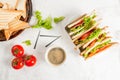 Club sandwiches with salmon Royalty Free Stock Photo