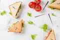 Club sandwiches with salmon Royalty Free Stock Photo