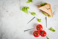 Club sandwiches with salmon Royalty Free Stock Photo