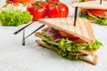 Club sandwiches with salmon Royalty Free Stock Photo