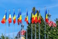 Romanian flags and roofs of the old building in Cluj-Napoca, Romania