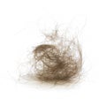 Clump of hair. Close up. Isolated on a white background