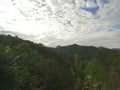 clumps of clouds over the green wilderness