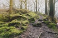 Clumps of moss on stones and trees at White Moss Walks, Lake District National Park in South Lakeland, England, UK