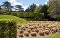 Clumps of ornamental grass in the Lynn Garden at Ascott House in the Chilterns, Leighton Buzzard, Bedfordshire UK.