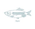 Clupea fish. Or herrings. Open paths. Editable stroke. Custom line thickness.