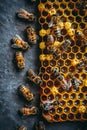 A cluster of bees perched atop a honeycomb in a close-up view Royalty Free Stock Photo