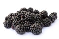 Cluster of Blackberries on White Background Royalty Free Stock Photo