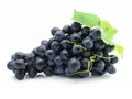 Cluster of blue grape isolated