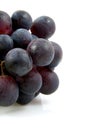 Cluster of blue grapes Royalty Free Stock Photo