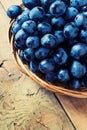 Cluster of Blue Grapes on Old Wooden Background.