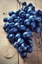 Cluster of Blue Grapes on Old Wooden Background.