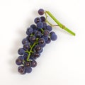 Cluster of blue grapes