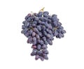 Cluster of blue grapes on a white background Royalty Free Stock Photo