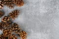 Cluster of brown pine cones decorates the left side of a textured gray background with ample copy space Royalty Free Stock Photo