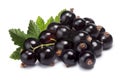 Cluster (bunch) of blackcurrant Royalty Free Stock Photo