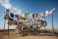 cluster of clotheslines, each with its own unique collection of clothing