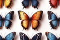 A cluster of colorful butterflies perched on a clean white surface Royalty Free Stock Photo