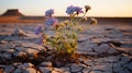 A cluster of drought-resilient flora stands amidst a parched landscape, their tenacity a symbol of life's adaptability