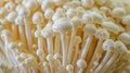 Cluster of enoki mushrooms with white stems and caps on a natural textured surface