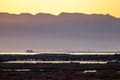 Flamingos in the Delta de l\'Ebre Natural Park, the largest aquatic habitat in Catalonia at sunset