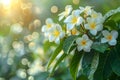 Cluster of Flowers Blooming on Tree Branches Generative AI