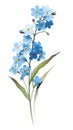 Cluster of Forget-Me-Nots on a Contemporary Sky Blue and White Background .