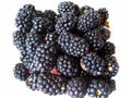 Cluster of fresh blackberries Royalty Free Stock Photo