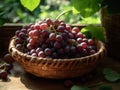 cluster of fresh grapes resting in a round wooden fruit baske