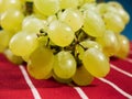 Cluster of fresh juicy grapes on red and white stripe classic country table cloth. Close up