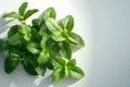 Cluster of Fresh Mint Leaves on White Background Ai generated