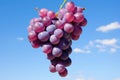 a cluster of grapes resembling a bunch of balloons, set against a blue sky