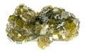 cluster of green andradite garnet crystals Royalty Free Stock Photo