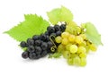 Cluster of green and blue grape isolated on white Royalty Free Stock Photo