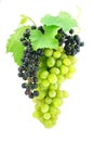 Cluster of green grape isolated on white Royalty Free Stock Photo