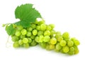 Cluster of green grape isolated on white