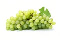 Cluster of Green Grapes on Transparent Background, AI