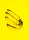 Cluster hand of bananas on solid yellow background. Monochrome. Bright sunlight strong shadow. Trendy funky minimalist style