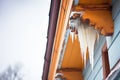 cluster of icicles overhanging a snowy ledge Royalty Free Stock Photo