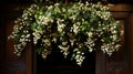 A cluster of mistletoe hanging from a doorway,